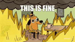 This is fine meme — debugging mutable defaults