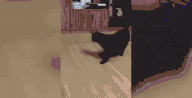 python string replace meme