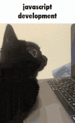 typescript to javascript meme